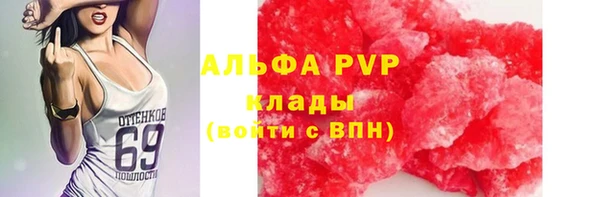 гашик Белокуриха