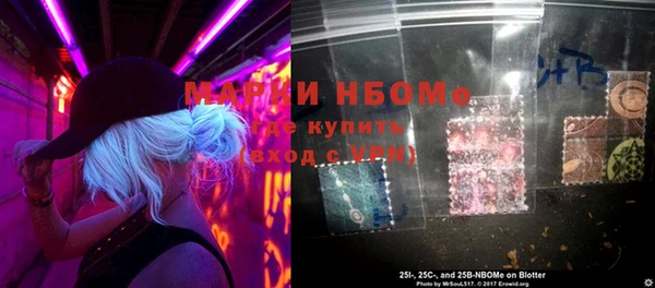 гашик Белокуриха