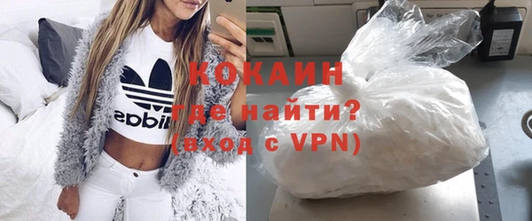 твердый Сосновый Бор
